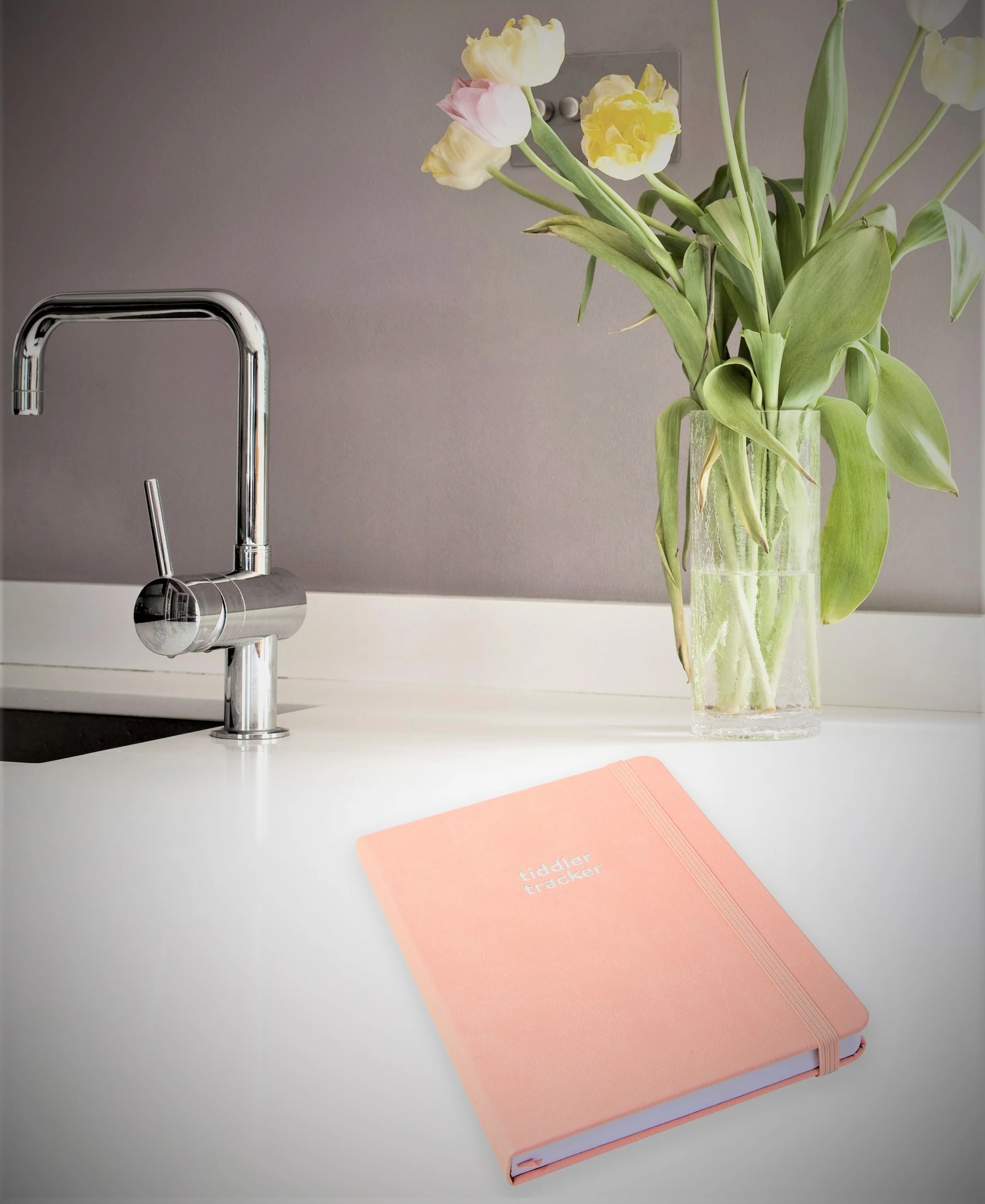 Tiddler tracker - Baby Logbook Keepsake Diary - Image 23