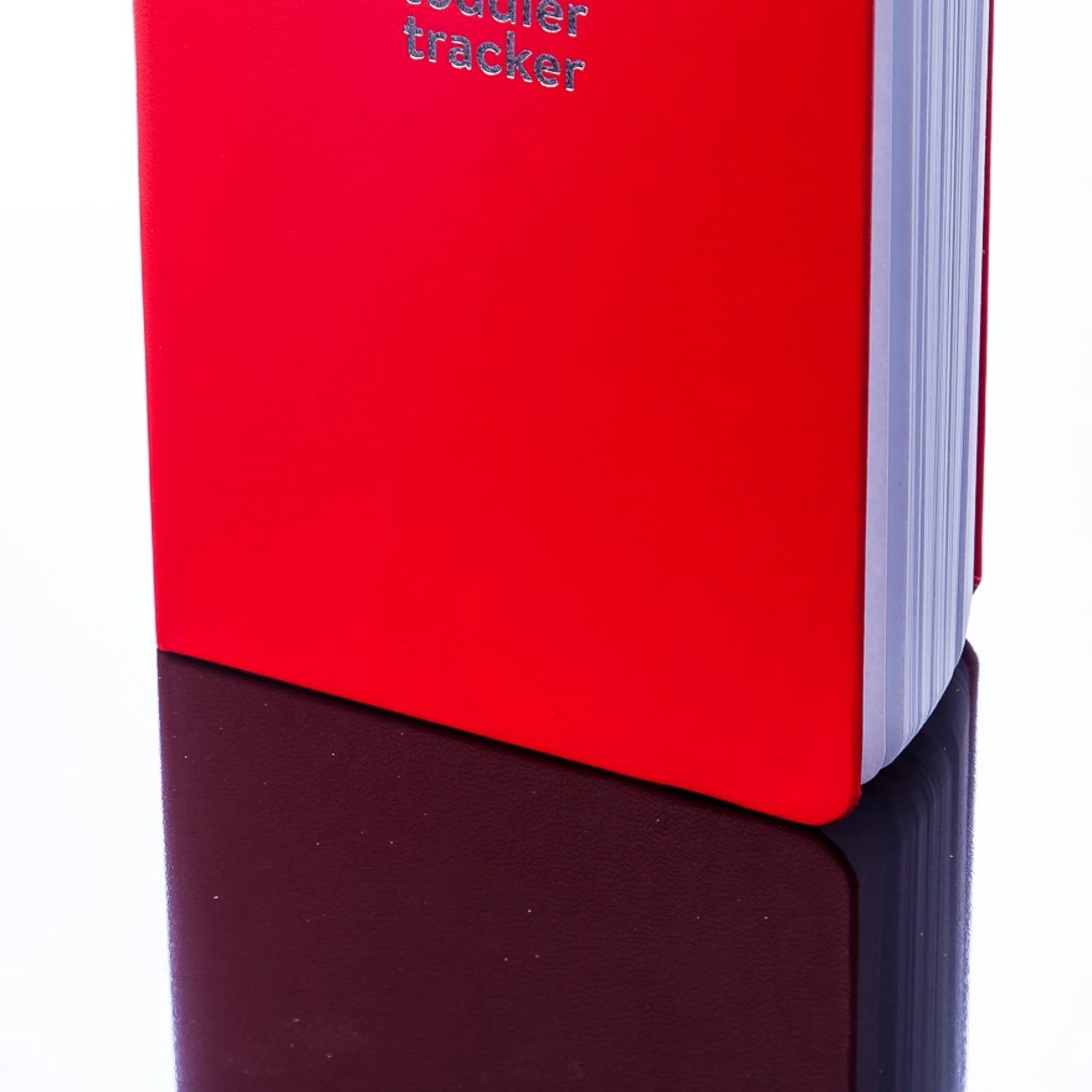 Tiddler tracker - Baby Logbook Keepsake Diary - Image 37