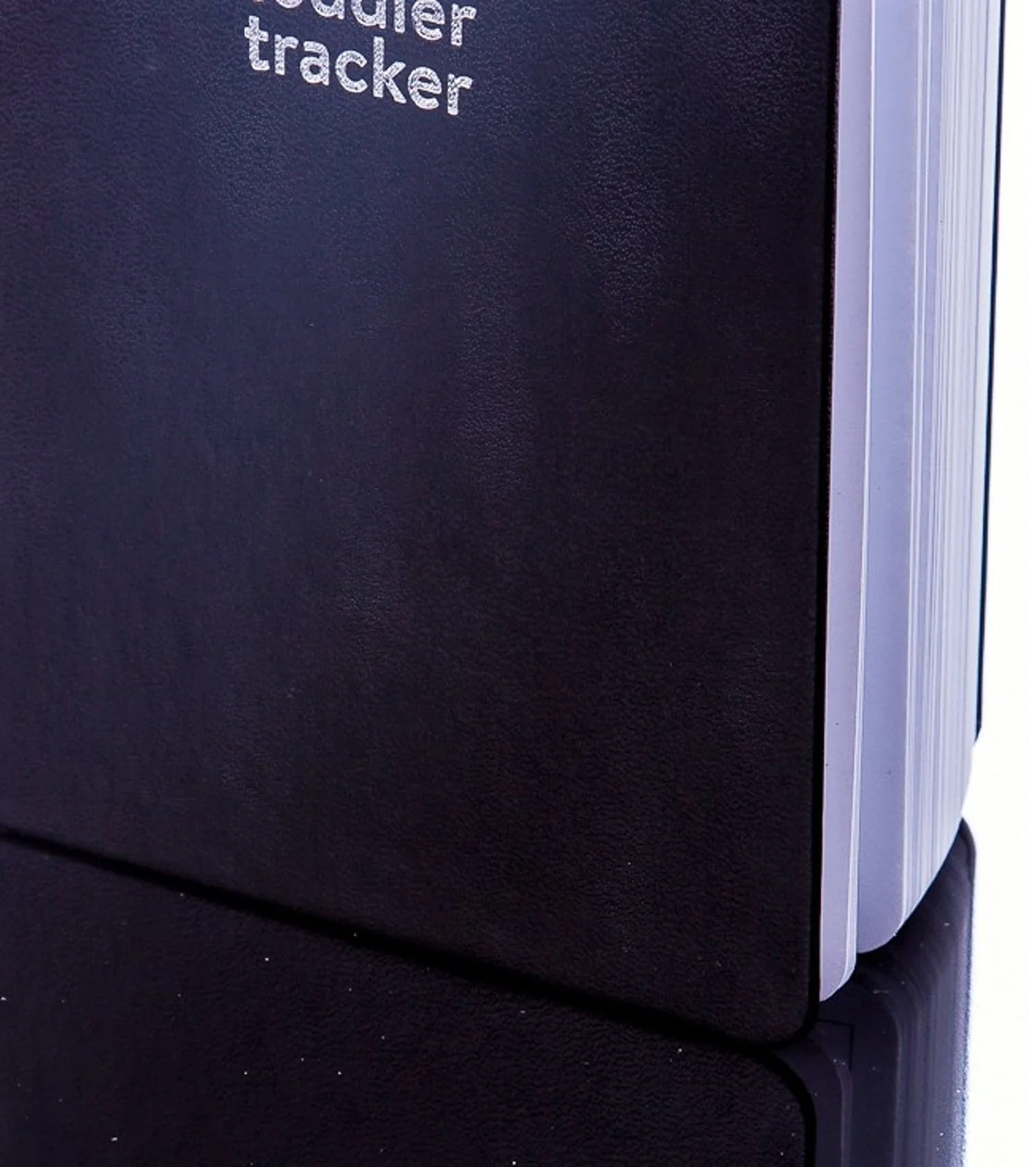 Tiddler tracker - Baby Logbook Keepsake Diary - Image 39