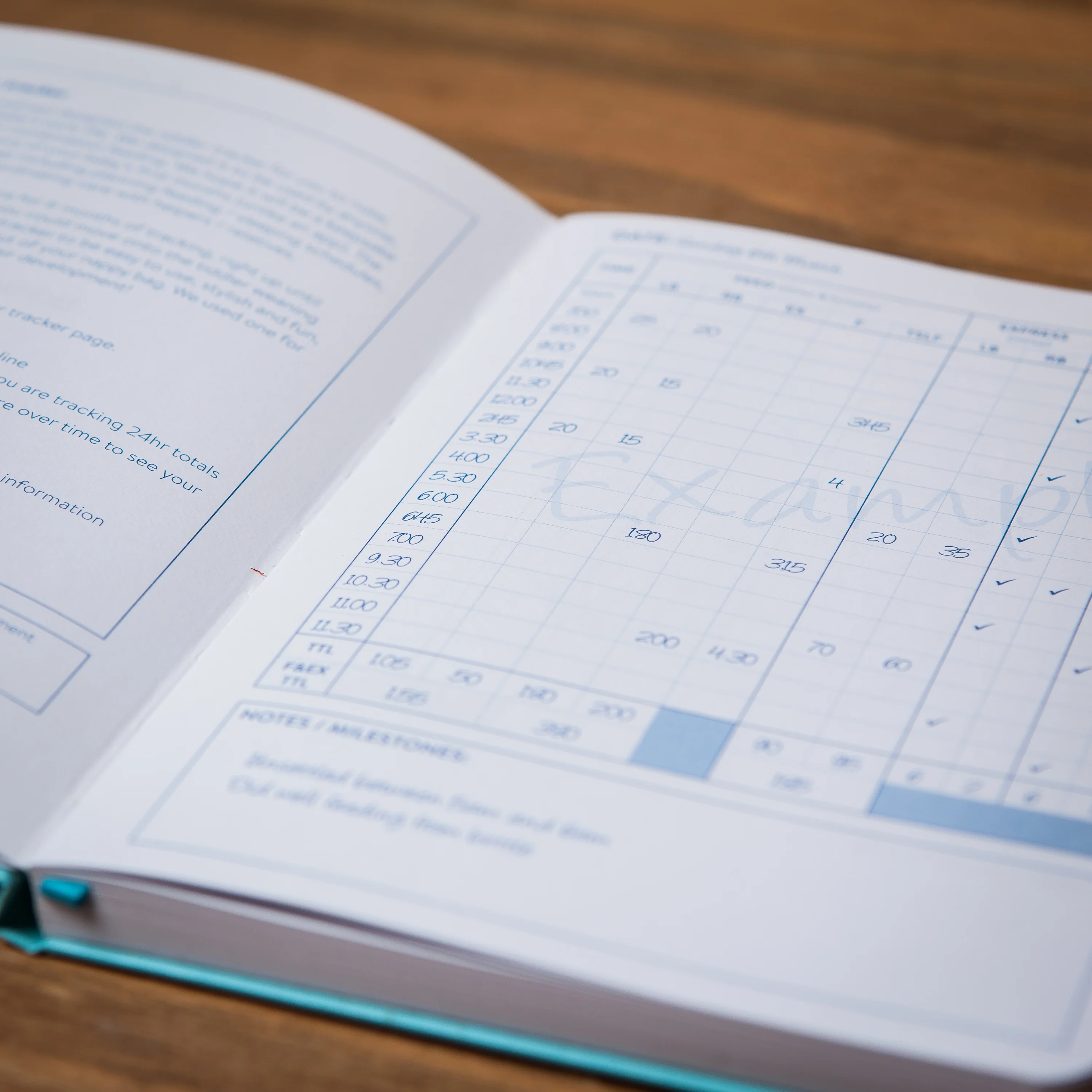 Tiddler tracker - Baby Logbook Keepsake Diary - Image 74